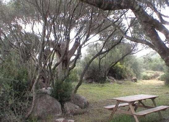 Les Bergeries D'Ogliastrello Villa Figari  Buitenkant foto